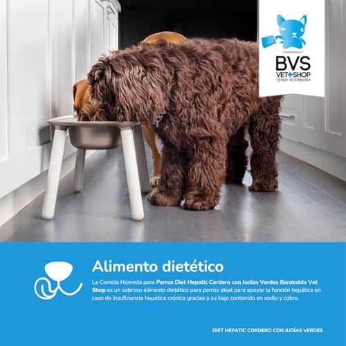 BVS Vet Shop | Diet Hepatic Lamm mit grünen Bohnen | Dose für Hunde | Diätfutter zur Unterstützung der Leberfunktion bei chronischem Leberversagen | 6 Stück x 400 g