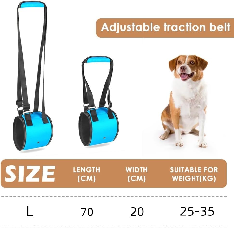 MHwan Tragehilfe Hund, Hundefreundliches blaues Design mit Verstellbarer tragegurt Hund, die behinderten und älteren Hunden beim Spazierengehen sicheren Halt bietet, treppenhilfe für Hunde (L)