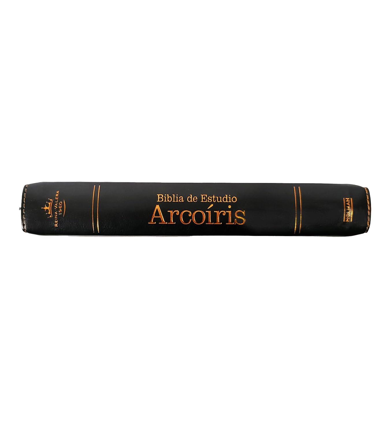 Biblia de Estudio Arco Iris Reina Valera 1960 con cierre, Indice, simil piel, colore nero estuche de lujo para proteccion
