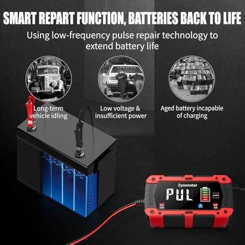 15A 12V/24V LiFePO4 Charger