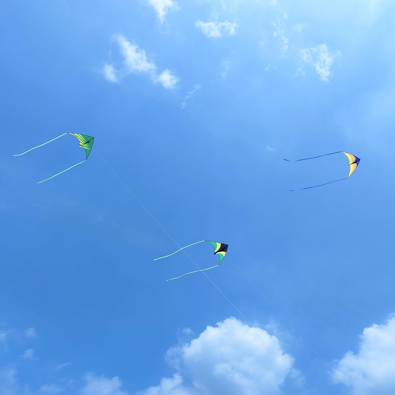 Large Rainbow Delta Kite for Kids & Adults,Single Line Beach Kite for Kids Ages 4-8 & 8-12,Easy to Fly for Toddlers and Beginners