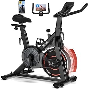 Exercise Bike, CHAOKE Stationary Bike for Home Fitness, Ultra-Quiet Magnetic Resistance Indoor Cycling Bike, Large Tablet Holder, Comfortable Seat, LCD Display, Strength Training