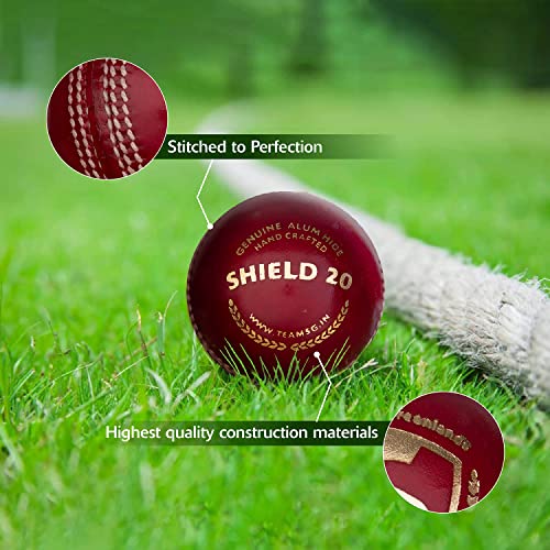 Image of SG Cricket Balls Shield 20*(Red), Leather