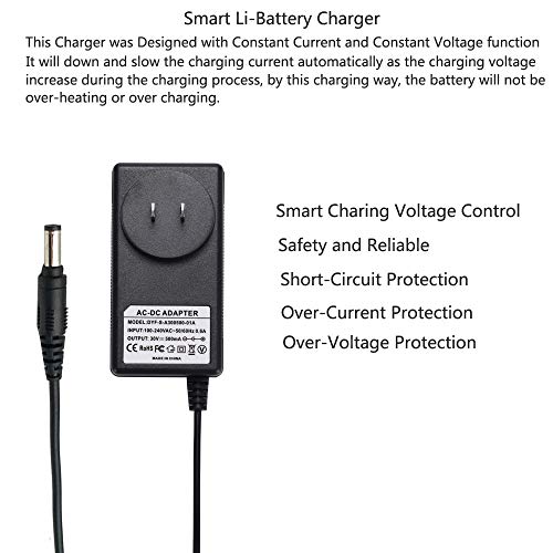 DEYF Replacement 23V 400ma Constant Current Battery Charger Power Supply for Qualcast Cordless Hedge Trimmer Garden Strimmer SH-18V400, CL GT 1825D CLGT1825D