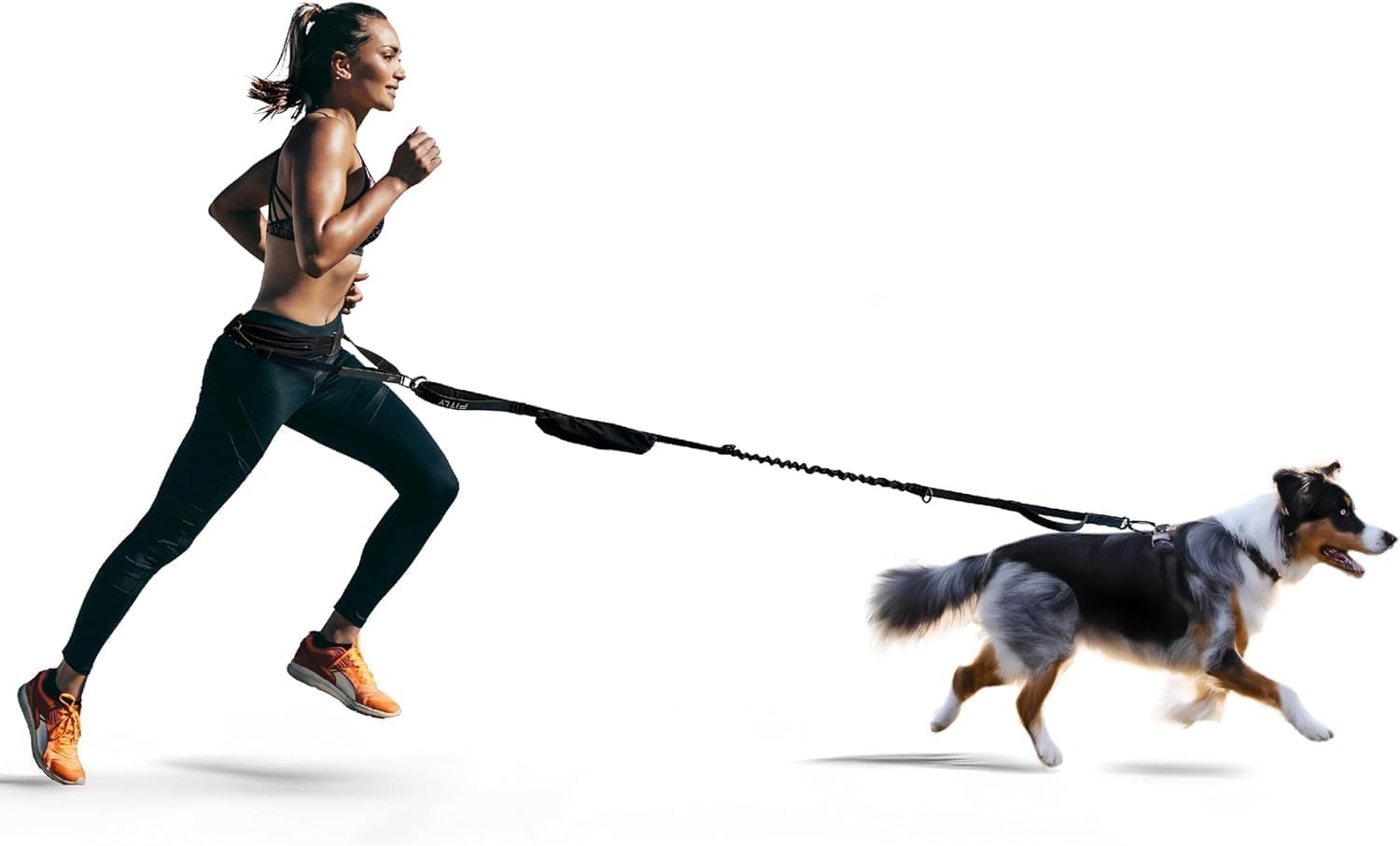 Hardloopriem Hond – Canicross - 160-260 cm - Zwart – Pitt&Co
