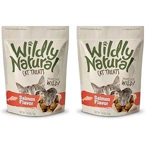 Cat Treats, 2.5 Ounces, Salmon Flavor (Pack of 2)