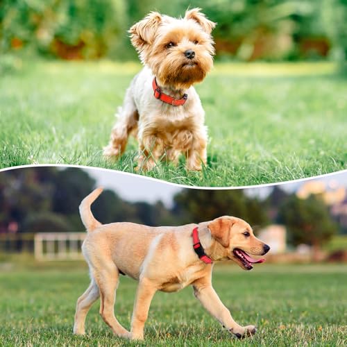 Image of Reflective Dog Collar, Adjustable Nylon for Medium Dogs,Tangerine