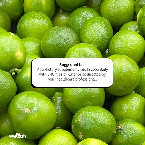Image of Wellah Creatine + Electrolytes Powder (Cucumber Lime) 30 Servings - Hydration Drink Mix with 3g of Creatine Monohydrate