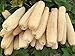 YEMTAL Natural Loofah Sponges Organic Luffa Bath Shower Sponge Exfoliating Body Back Scrubber for Men Women Adults SPA Beauty Bathing Daily Care - 4 PCS