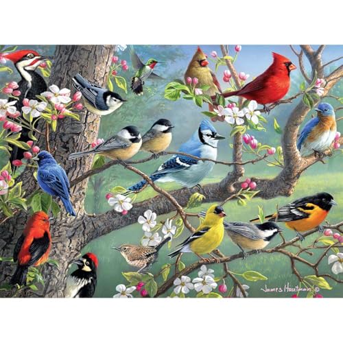 Buffalo Games - Hautman Brothers - Birds in an Orchard - Puzzle 1000 Teile
