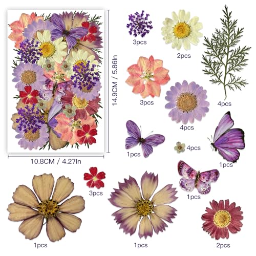 Flores Naturales Secas Prensadas para Manualidades miniatura 2