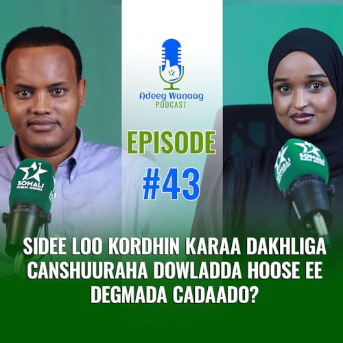 Sidee Loo Kordhin Karaa Dakhliga Canshuuraha ee Dowladda Hoose ee Degmada Cadaado?