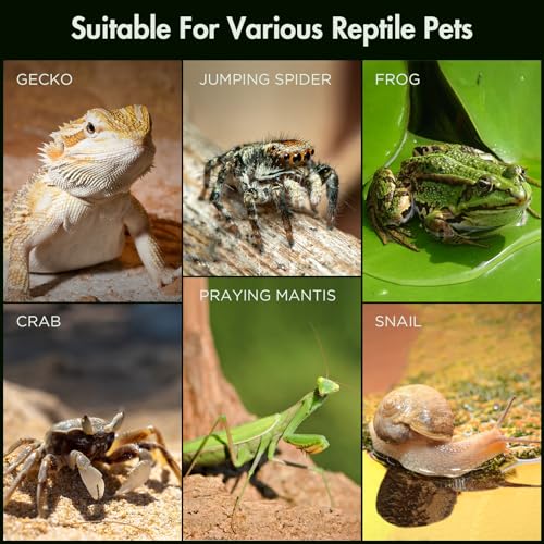 Image of Pre-Assembled Jumping Spider Enclosure, Acrylic Terrarium with Magnetic Door & All-Side Ventilation, Habitat for Spiderling, Mantis, Tarantula, Snail (5 inchx5 inchx10 inch)