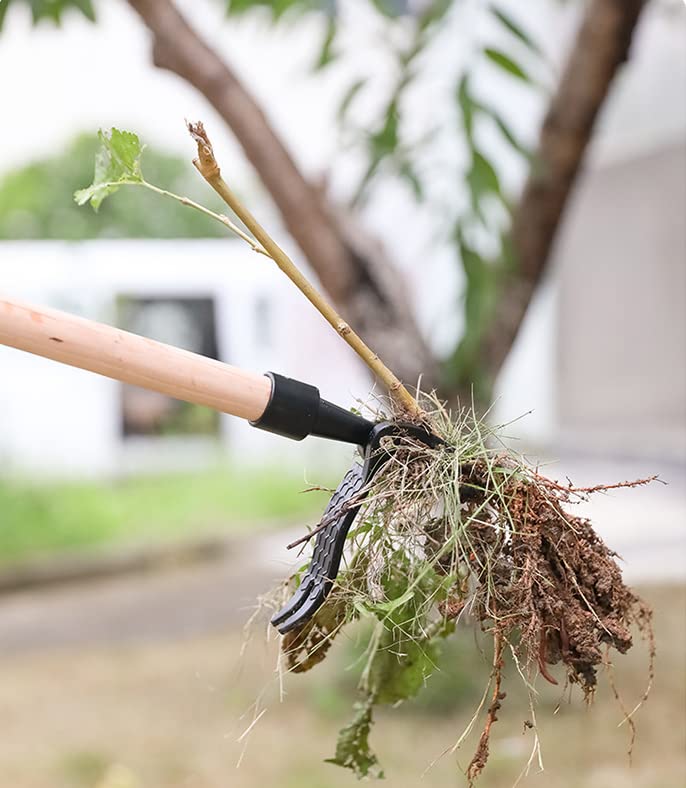 十草切立珍味入れ　　10客　新品未使用 十草切立珍味入れ 10客 新品未使用 2025年最新】Yahoo