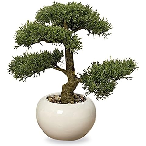 WHW Whole House Worlds Realistic Faux Cedar Bonsai Tree, Houseplant, White Round Pot, Pebbles, Padded Bottom, Over 1 Ft Tall, (H33cm) Cover