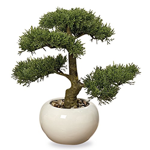 Whw Whole House Worlds Realistic Faux Cedar Bonsai Tree, Houseplant, White Round Pot, Pebbles, Padded Bottom, Over 1 Ft Tall, (H33Cm) #TOP21