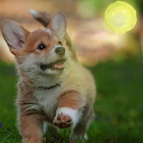 Nerf Blue/Green Lightning Led Ball Dog Toys, X-Small, Pack Of 2 #TOP3