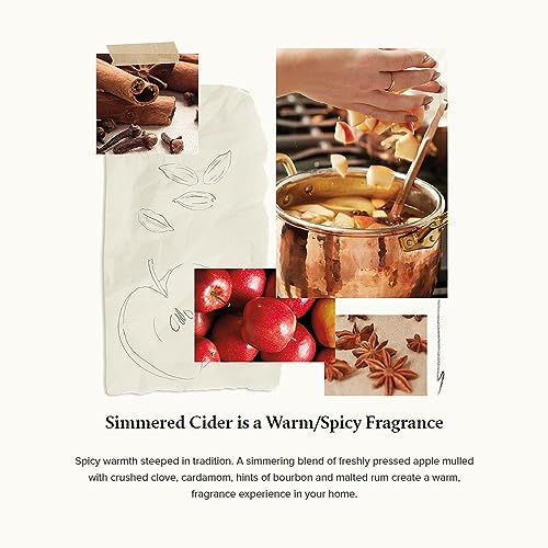 Thymesscentedcandlesforhomedecorluxuryhomefragrancegiftsforwomenmenfallcandleswithwarmnotesofappleclovecardamomrosegoldvotivesimmeredcider2oz  Urban Country Home Decor Thymes scented candles for home decor luxury home fragrance gifts for women men fall candles with warm notes of apple clove cardamom rose gold votive simmered cider 2 oz  urban country home decor