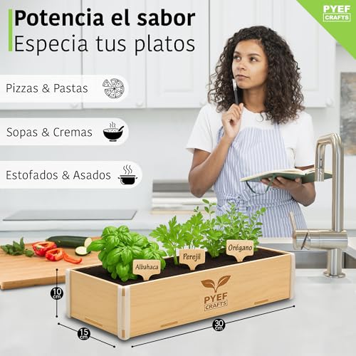 Huerto-Urbano-Hierbas-Aromaticas-Semillas-Oregano-Albahaca-Perejil-y-Cilantro-Kit-Plantas-Aromaticas-Interior-Kit-Semillas-Plantas-Culinarias-Huerto-en-casa