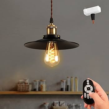 Amazon.co.jp : ANWIO ペンダントライト 引掛シーリング式 直径22cm