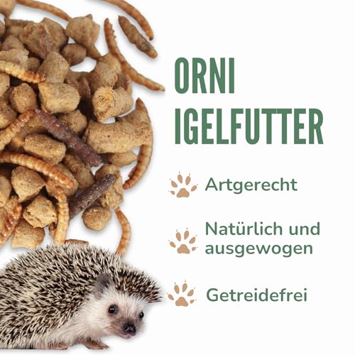 Orni Igelfutter mit Insekten ohne Getreide | 1kg | Alleinfutter für Igel | Artgerecht | getreidefrei | Trockenfutter mit Mehlwürmer Seidenraupen und hohem Fleischanteil