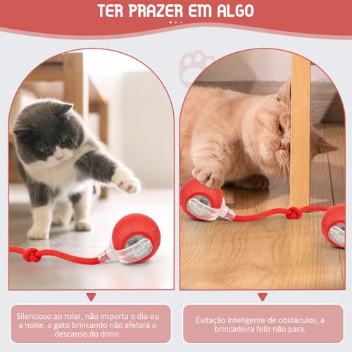 Bola Interativa Pet, Bolinha Pet, Brinquedo Interativo para Gatos, Brinquedos para Gatos, Brinquedo