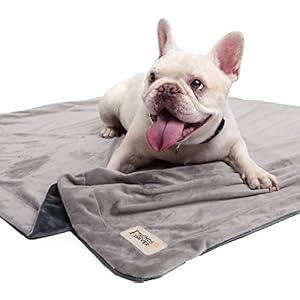   Friends-Forever-Durable-Dog-Blanket-for-Couch-Protection-Two-Tone-Reversible-Pet-Hair-Resistant-Blanket-for-Dogs-Cats-Bed-Kennel-Crate-Car-Seat-Soft-Velvet-Warm-Fleece-Bailey-53-x-42