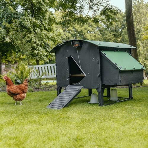 3.5ft Chicken Run Extension, Exclusively Designed for The