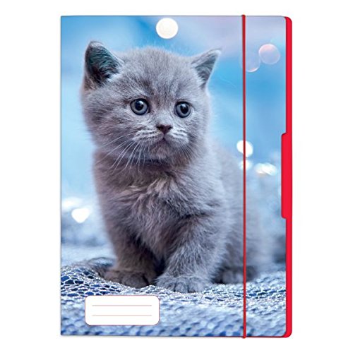 Preisvergleich Produktbild Herlitz 50001590 Sammelmappe A4, Motiv Katze, 1 Stück
