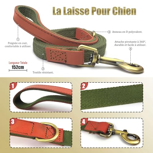 QRDA Dog Collar and Lead Set Army Green Personalized Adjustable Tactical Belt for Small Dogs Medium Dogs M - Image 3
