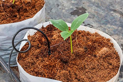 Image of MyOwnGarden? Cocopeat 5kg Block - Expand Upto 75 litres of Cocopeat for Plants - Improves Root Aeration, Prevents Soil Compaction & Boosts Plant Health - Perfect for Cutting Propagation, Seed Started