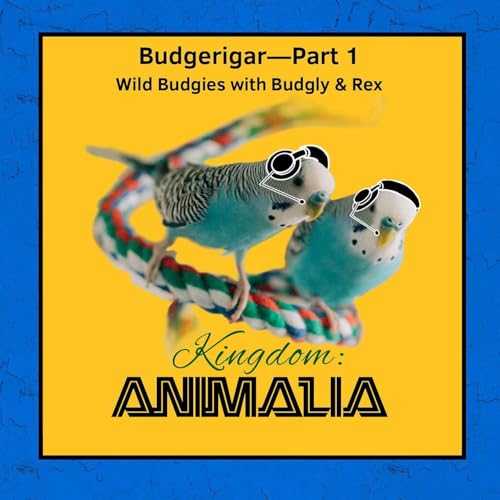 Budgerigar&mdash;Part 1: Wild Budgies I