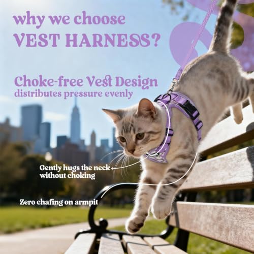 Image of rabbitgoo Cat Harness and Leash Set, Escape Proof Vest, Purr-ple Daisy | Soft Breathable Mesh, Easy Adjustable Fit, Snap Buckles, Sturdy Clip, Reflective Strips, for Average Cats Walks, S