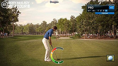 Electronic Arts Rory McIlroy PGA TOUR PS4 Basic