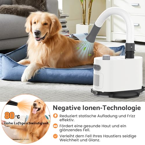 Rebongki Hundefön Blower Hund Profi Hundeföhn mit Einstellbarer Windgeschwindigkeit Handheld Hundefön Trockenmaschine Trockner für Haustiere Haustiertrockner 2 Schläuche 3 Temperatureinstellungen