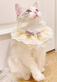 29番 犬用首輪 猫用首輪 小動物用首輪 よだれかけ Amazon | 猫 首輪 猫首輪 猫用首輪 ネコ 首輪 猫の首輪 ペット用