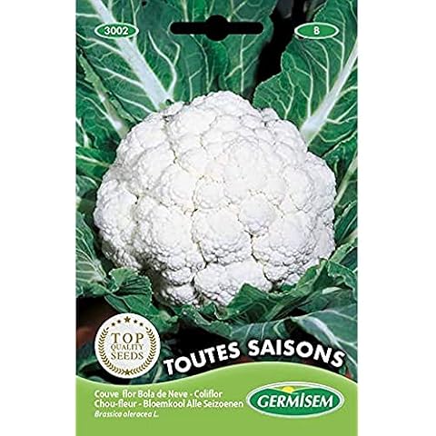 Germisem Toutes Saisons Semillas de Coliflor Cover