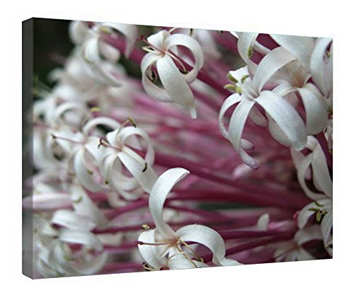 Toile feux d'artifice de la nature cadre en bois pour salon lumineux