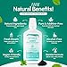 SprinJene Alcohol Free Mouthwash with Xylitol – Fluoride Free Natural Mouthwash for Dry Mouth, Whitening & Fresh Breath – Patented Black Seed Oil & Zinc Formula – Vegan & Made in The USA (1 Pack)