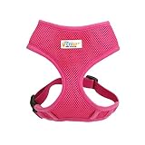 Rnker Soft Mesh Dog Harnesses Padded Vest No Pull Comfort Double Layer Harness for Pet Puppy (Small,