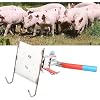 Pig Castration Rack Tools, Stainless Steel Pig Castration Frame, Efficient, Simple Operate for Piglet Castration