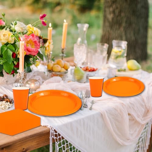 64 Stück Partygeschirr Set,Orange Geburtstag Party Papiergeschirr Geschirr Set Inklusive Teller Servietten Becher und Dessertteller Geeignet für Hochzeiten,Weihnachten,Kinder Geburtstagsparty-16 Gäste
