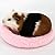 quanjucheer Hamster Sleeping Bed Mat,Soft Plush Pet Bed Winter Small Animal Washable Velvet Cage Mat Guinea Pig Sleeping Bed size L (Pink)