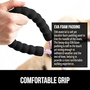   Gorilla-Grip-Heavy-Duty-Dog-Leash-Soft-Handle-Strong-Reflective-Rope-for-Night-Pet-Walking-Small-Medium-Large-Animals-Durable-Puppy-Training-Leashes-Rotating-Metal-Clip-Waste-Bag-Dispenser-Pink