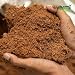 VERMIORGANIC Fibra de Coco Ecológica Bloque de 5KG (70L) - Ladrillo compactado....