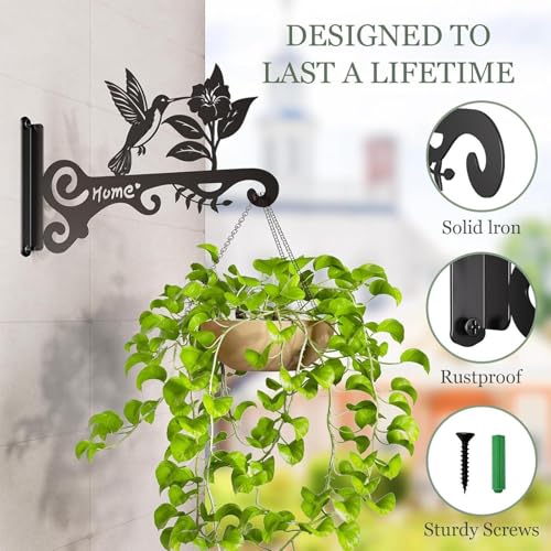 Support mural en métal 25 cm de qualité supérieure pour fleurs
