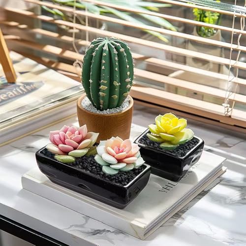 Image of HappyFiller 0.88 LB Black Gravels Small Stones Succulent Mini Rocks | Planter Soil Cover Pebbles,Fairy Garden,Terrarium,Lucky Bamboo,Cactus Topper Dressing Decor,Aquarium Fish Tank Bottom Granule