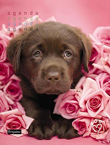 Agenda Perpetuel Chien Agenda Perpetuel Chien