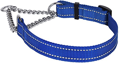 Collardirect Martingale Dog Collar Training Adjustable Stainless Steel Chain Reflective Nylon Pet Collars For Medium Large Dogs (L, Neck Fit 16"-24", Blue) #TOP5