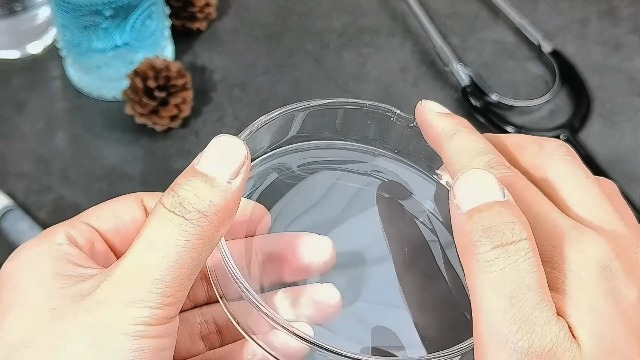 Gorise Lot de 5 boîtes de Petri en verre stérile transparent de 60 Gorise Lot de 5 boîtes de Petri en verre stérile transparent de 60